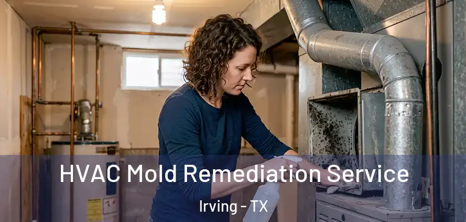 HVAC Mold Remediation Service Irving - TX