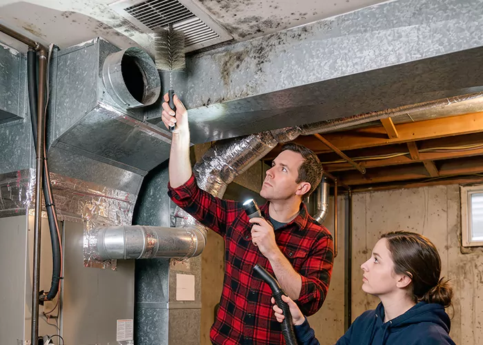 Premier HVAC Mold Remediation Company in Irving